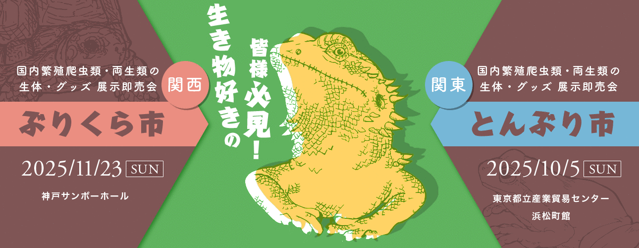 ぶりくら市 とんぶり市